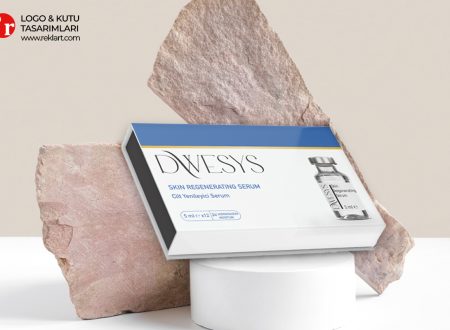 Dwesys Kutu Tasarimi 3